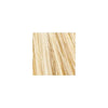 Beaver keratin hair building fibers - Blonde (12 gr)