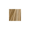 Beaver keratin hårbyggande fibrer - Medium blond (28 gr)